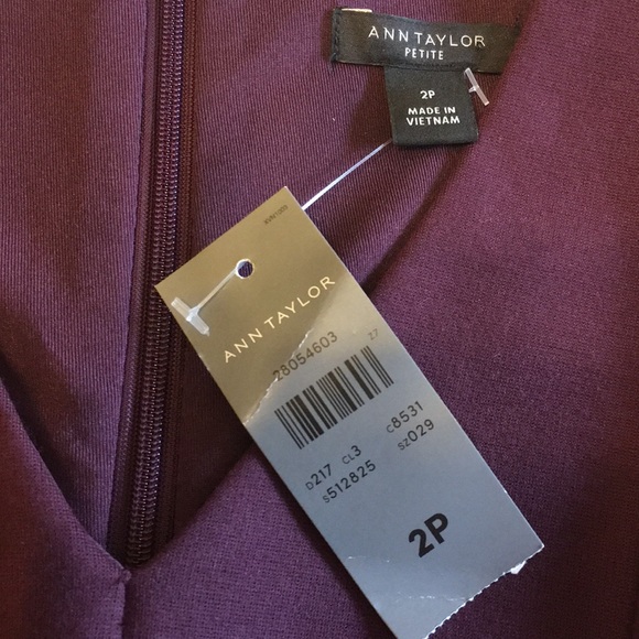 Ann Taylor NWT Professional Dress - Picture 2 of 5